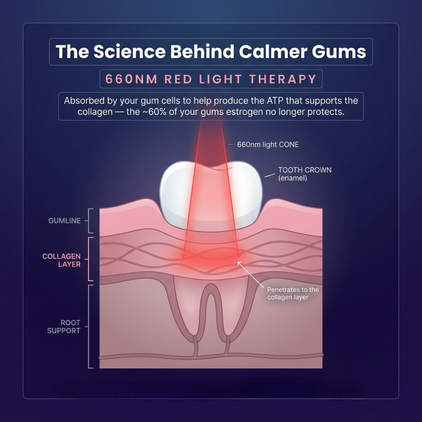 Red Light Tooth Brush